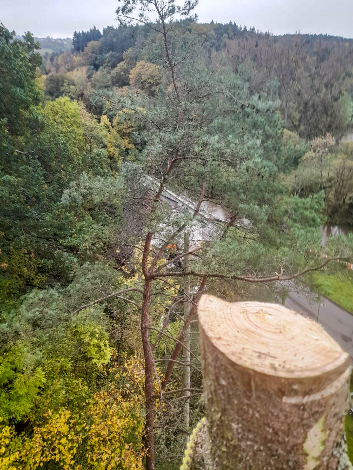 Forst- und Gartenbetrieb Schneider