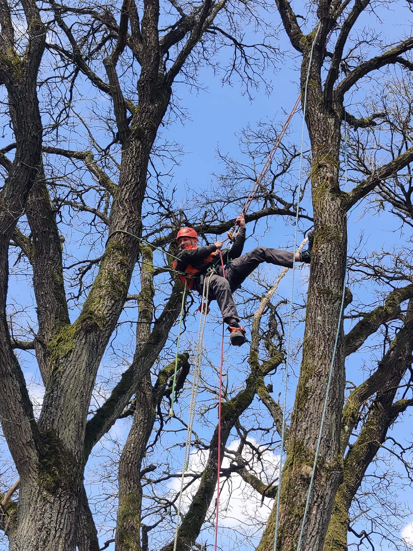 Forst- und Gartenbetrieb Schneider