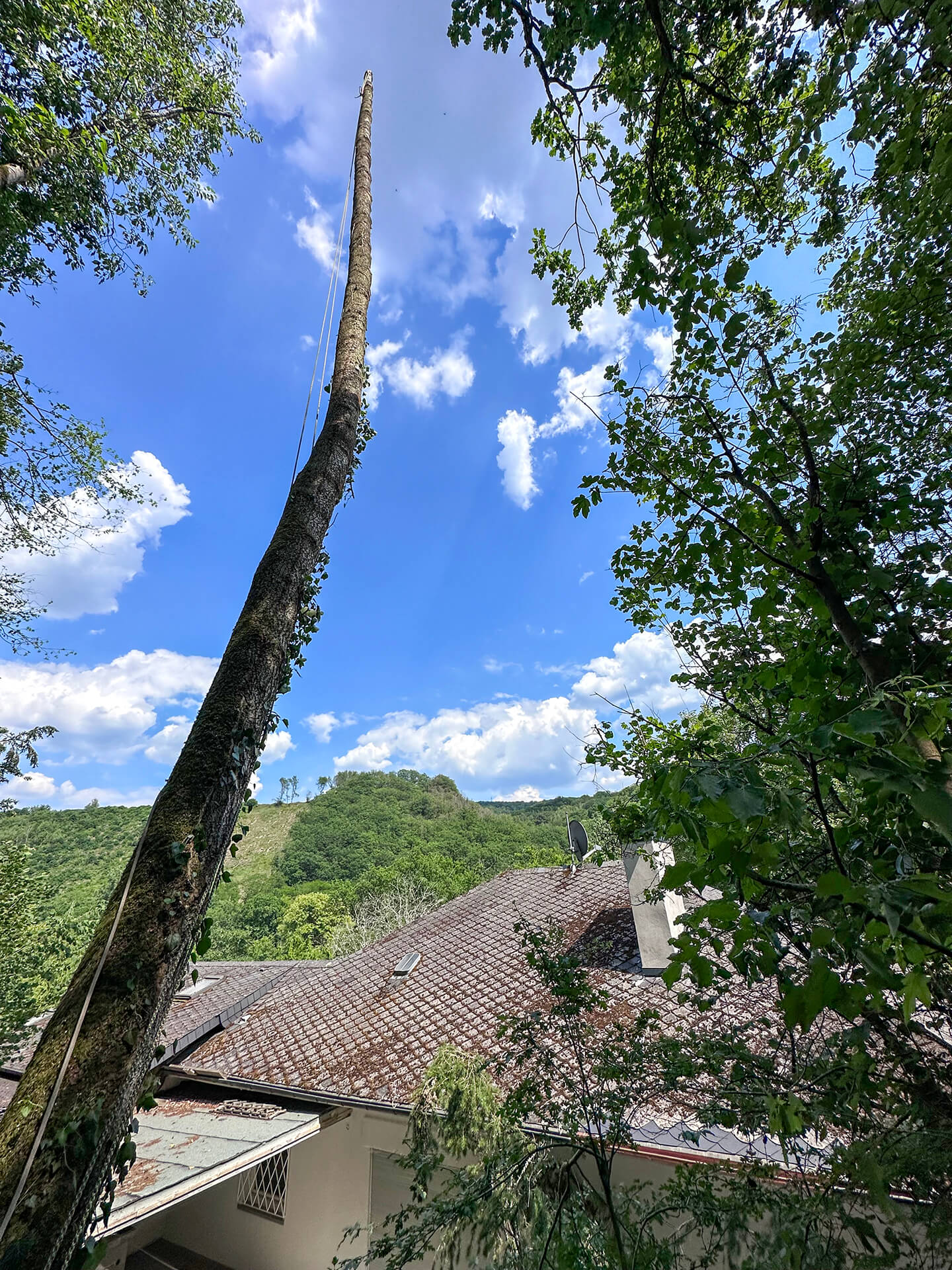 Forst- und Gartenbetrieb Schneider