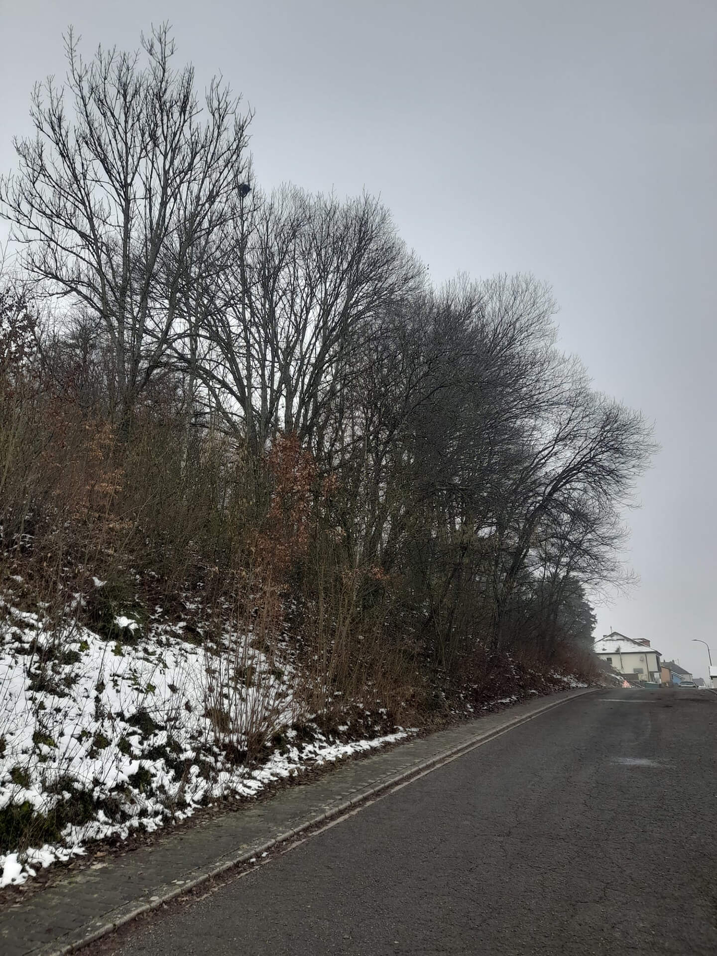 Forst- und Gartenbetrieb Schneider